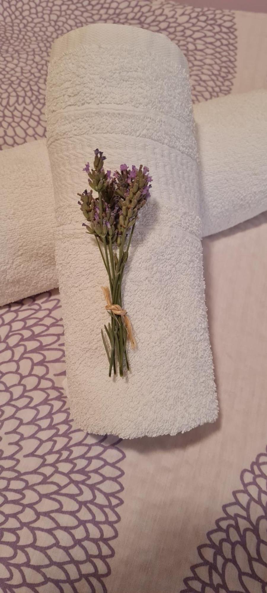 Apartment Lavanda Starigrad Paklenica Eksteriør billede