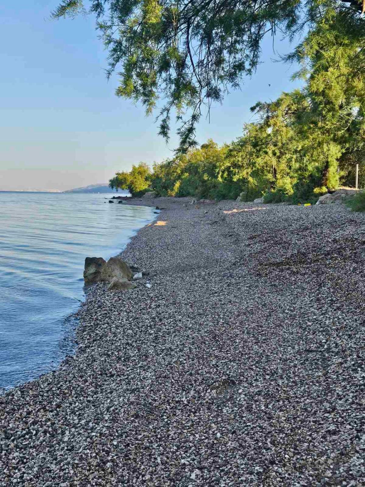 Apartment Lavanda Starigrad Paklenica Eksteriør billede